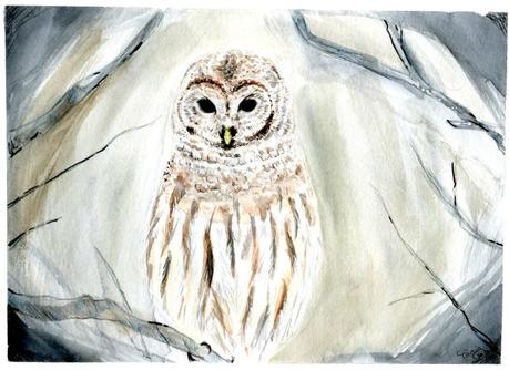 Dessins 2022 Partie 3 : d’août à décembre