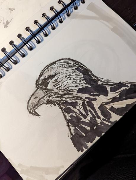 Dessins 2022 Partie 3 : d’août à décembre