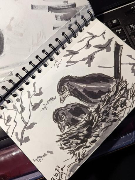 Dessins 2022 Partie 3 : d’août à décembre