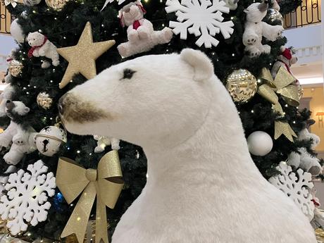 des fêtes prochaines : Noel et jour de l’an –