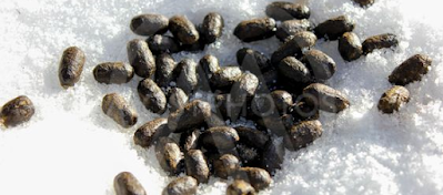 Une contribution politique créative