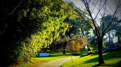 plus grands que les choses