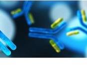 ALZHEIMER DIABÈTE peptides bloquent formation agrégats nocifs