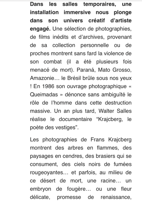 Espace Frans Krajcberg « Le Militant » le Jeudi 12 Janvier 2023.