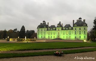 Cheverny en habits de fêtes Cheverny en habits de fêtes