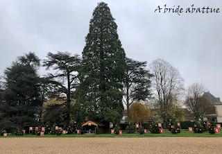 Cheverny en habits de fêtes Cheverny en habits de fêtes