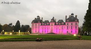 Cheverny en habits de fêtes Cheverny en habits de fêtes