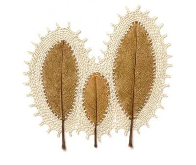 Dentelles sur feuilles séchées de Susanna Bauer