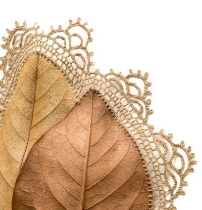 Dentelles sur feuilles séchées de Susanna Bauer
