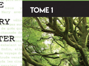 L'ange déchu Brocéliande T-1/T-2