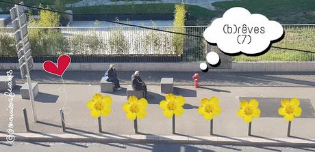 (b)rêves (7) (b)rêves (7)