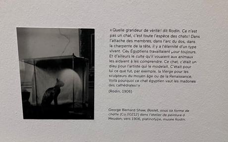 Musée Rodin « Rêve d’Egypte » jusqu’au 5 Mars 2023.