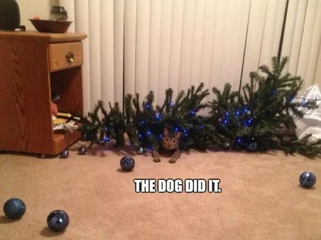 La trêve des complotisseurs