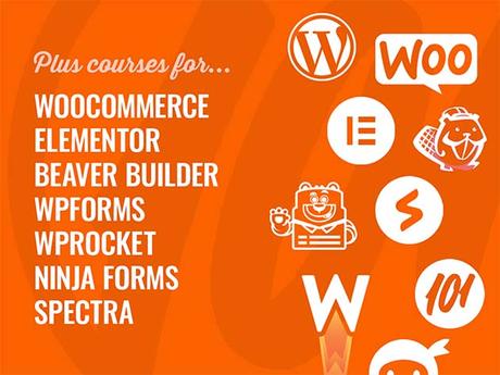 Offres Mactrast : Tutoriel WordPress WP101 pour débutants : Accès à vie