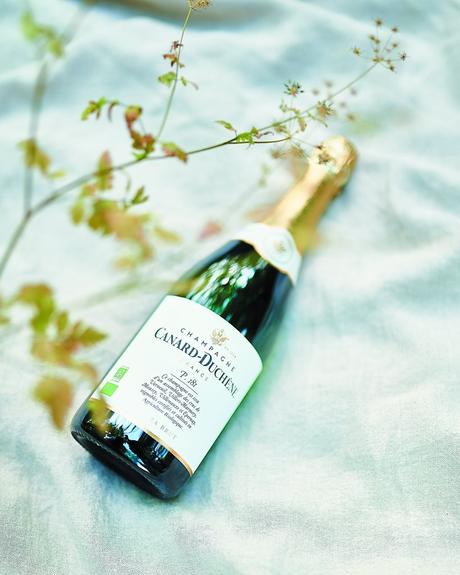 CUVÉE BIO P181 CANARD-DUCHÊNE