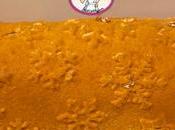 bûche Noël 2022 mandarine marron