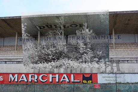Détails sur les Tribunes du Circuit de Reims-Gueux