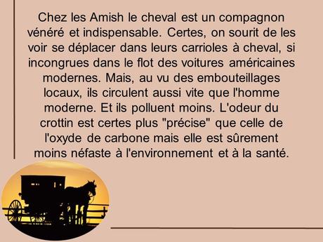 L'Amérique - La Pennsylvanie 