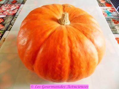 Grosse tranche de courge farcie (Vegan)