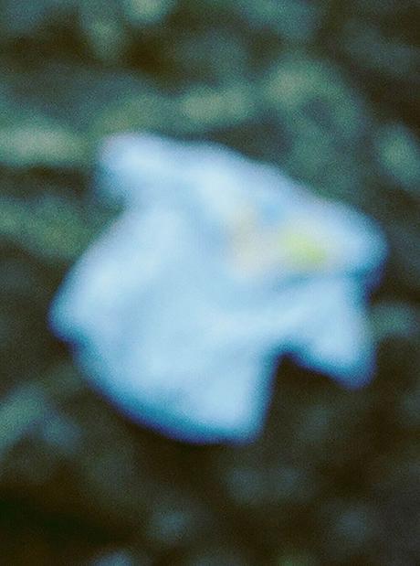 NEPLA. – S/S 2023 COLLECTION LOOKBOOK