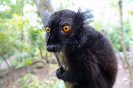 Madagascar – premières pages d’un long voyage : de Nosy Be à Diego