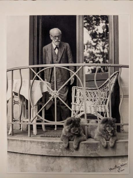 Berggasse, 19 — Du côté de chez Freud — Reportage photographique — 18 photos