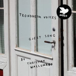 Trondheim Voices