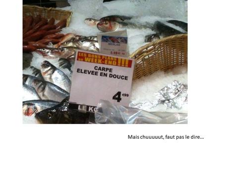 Divers -L'orthographe - 1