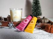 Offrez PANIER SENS pour Noël! 🎄(édition limitée)