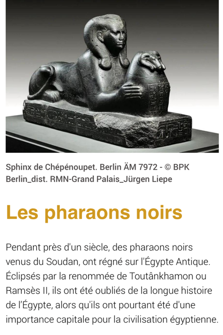 Les  pharaons noirs – au Musée départemental « Arles antique » le 08 Janvier 2023.
