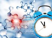 HORLOGE CANCER passe-t-il lorsque rythme circadien détraqué