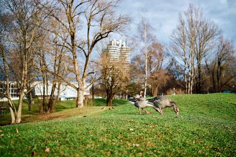 Silvester 2022 im Olympia Park München — 8 Bilder von Marco Pohle