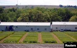 Des parcelles d'essai de cinq pieds sur 15 pieds de différentes souches de blé hybride sont cultivées dans la ferme de recherche de la société de biotechnologie Syngenta près de Junction City, Kansas, États-Unis, le 4 mai 2017. (REUTERS/Dave Kaup)