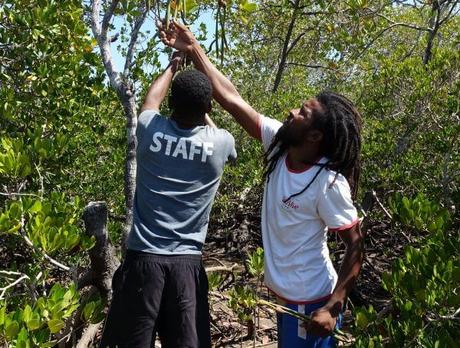 Pirogues, baobabs et lémuriens : quand l’Ouest de Madagascar me touche en plein cœur