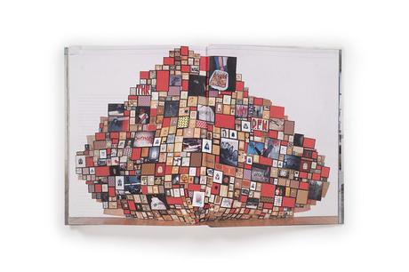 BARRY MCGEE – REPRODUCTION
