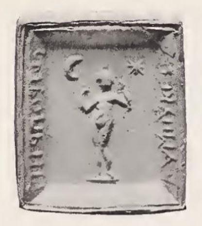 CroissantEtoile Aphrodite anadyomene Bonner Campbell Online CBd-4429