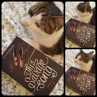 This savage song de V.E. Schwab Monsters of Verity