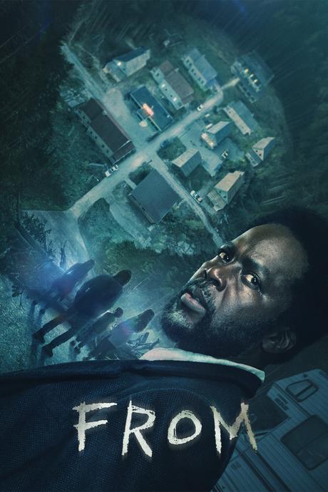 • Bilan du mois de Décembre •