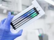 COVID-19 DMLA, signe vulnérabilité l’infection