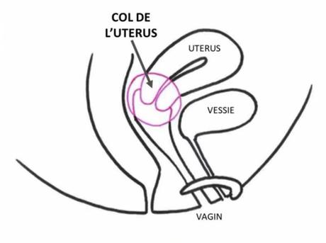 Le point A (ou deep spot) c'est la zone en rose