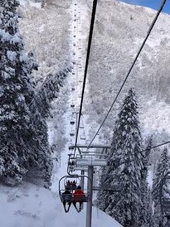 Vail Resorts n’entretient pas sa forêt