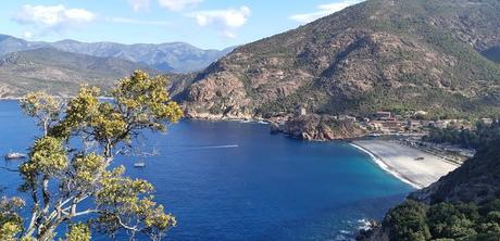 La France - La Corse 