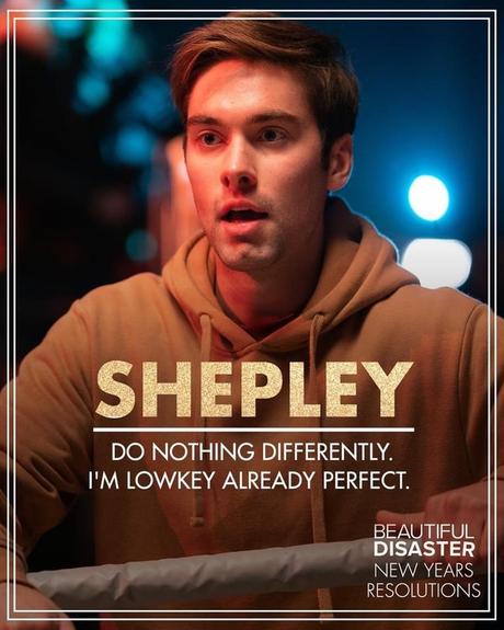 Shepley Beautiful Disaster