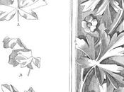 feuillages, l’art puissances végétal, Clélia (éd. Hazan), janvier 2023