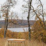 Pusle le banc totalement personnalisable du studio Foy