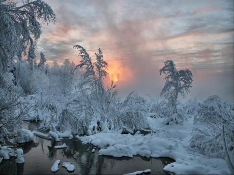 Divers - Le Mois du blanc....