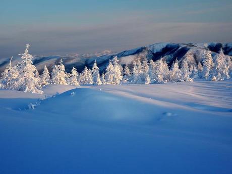 Divers - Le Mois du blanc....