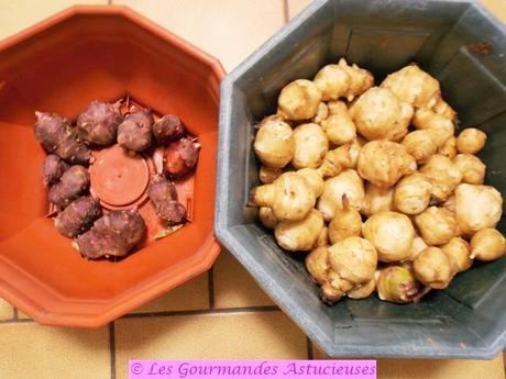 Topinambours à la sauce onctueuse à la cacahuète (Vegan)