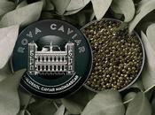 fabuleuse histoire Rova Caviar Madagascar