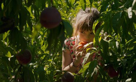 [CRITIQUE] : Nos Soleils